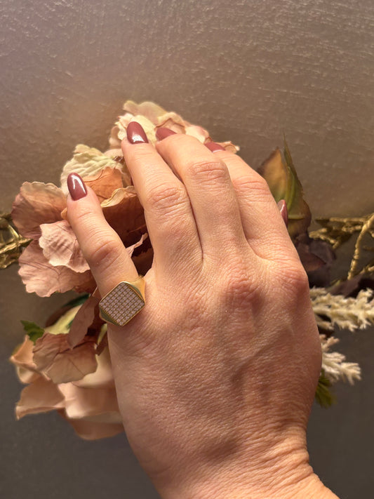 Anello Chevalier Luxury | Argento 925